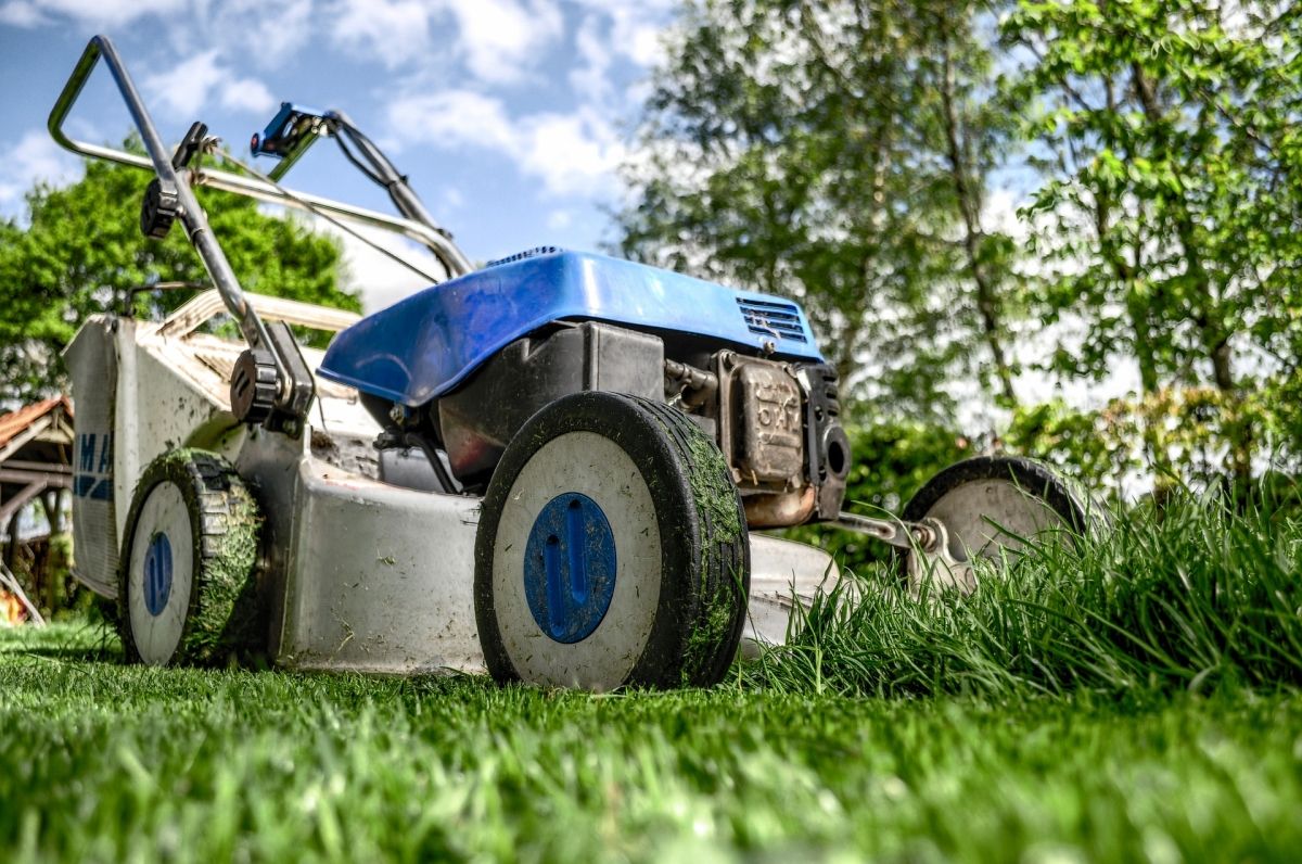 Well-maintained lawn at a rental property illustrating landscaping responsibilities.