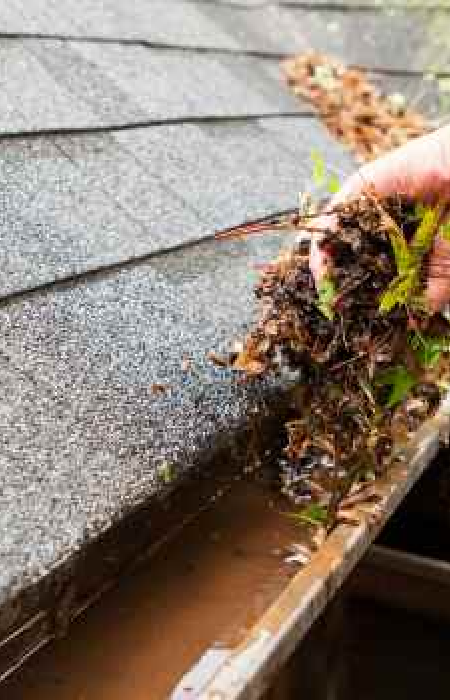 How to Avoid Water Damage in Your Rental Property
